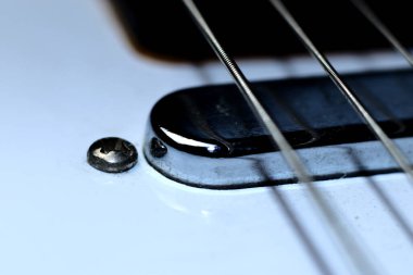 Krom kapaklı ve gitar telli klasik telecaster boyunluk - makro