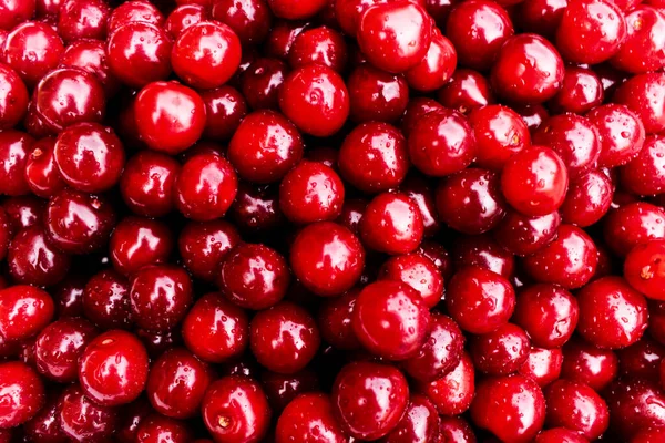 Montón Frutos Rojos Cereza Con Gotas Agua Sobre Ella Fondo — Foto de Stock