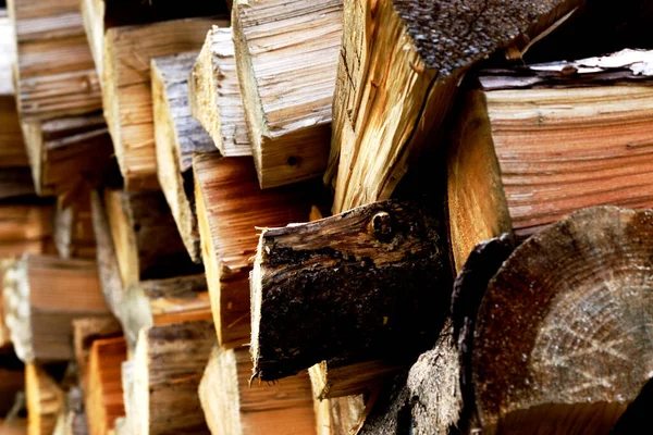 Firewood Pile Wood Tree Heap Prepared Winter Logs Background — Stock Photo, Image