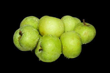 green apples with splashes of water on a black isolated background