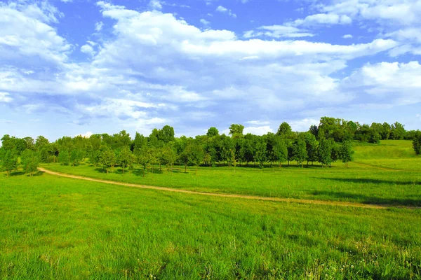 manzara yaz tarlası ağaçları bulutları
