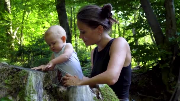 Ein süßes Baby mit seiner schönen Mutter, die einen Baumstumpf im Wald erkundet. 4K — Stockvideo