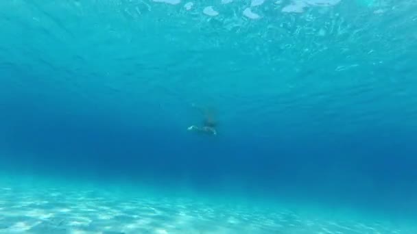 在蓝色的大海中 一个穿着比基尼在游泳的女孩身上模拟鲨鱼袭击的镜头 水下录像 — 图库视频影像