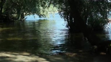 Bir kayaya gölde dalga