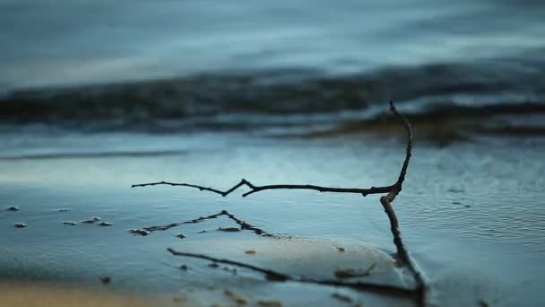 Zweig, Verkehr, die entgegenkommende Welle, ein Spiegelbild, Sand — Stockvideo