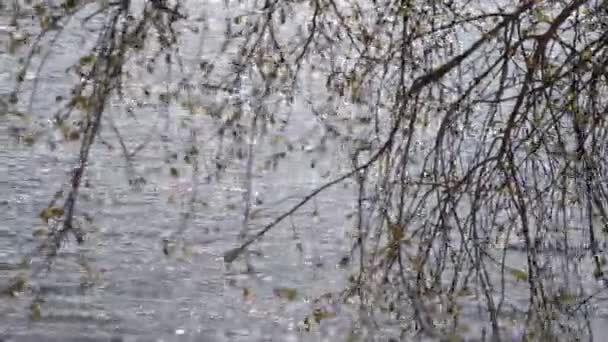 Onda su una roccia sul lago — Video Stock