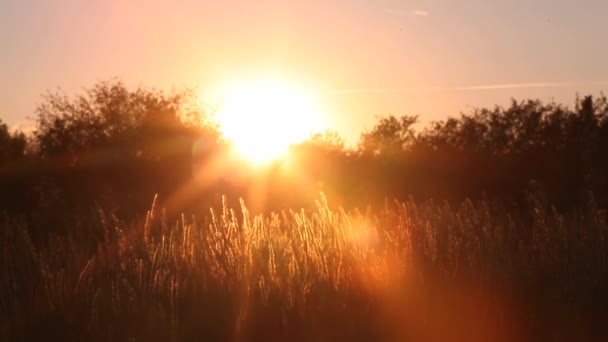 Puesta de sol en el camino — Vídeos de Stock