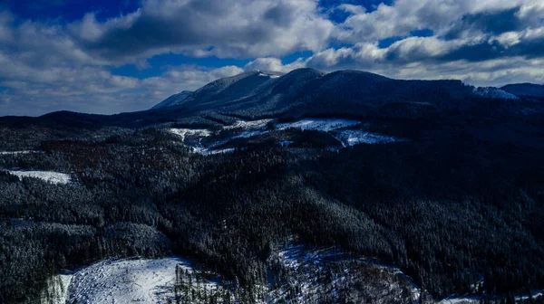 Karpaten Gebirge Kiefernwälder Nadelwälder Berggipfel Winter Schnee Luftaufnahmen — Stockfoto