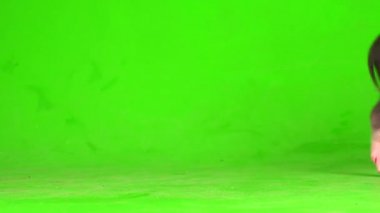 Yeşil ekranda Vietnamlı domuz yavrusu..