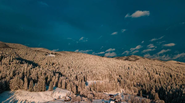 Karpackie Góry Zimą Las Iglasty Śnieżny Zachodzie Słońca — Zdjęcie stockowe