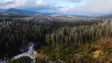 Ağaçlarda kış ayazı ormanı. Kışın karla kaplı ağaçlarla donmuş ormanın havadan görünüşü. Finlandiya 'daki kış ormanı üzerinde uçuş, üst görünüm.