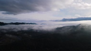 Bulutların üstünde kış ormanı uçuşu. Hava fotoğrafçılığı. 4K video.