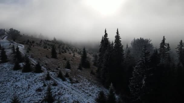 Winter Forest Frost Trees Aerial View Frozen Forest Snow Covered — Stock video