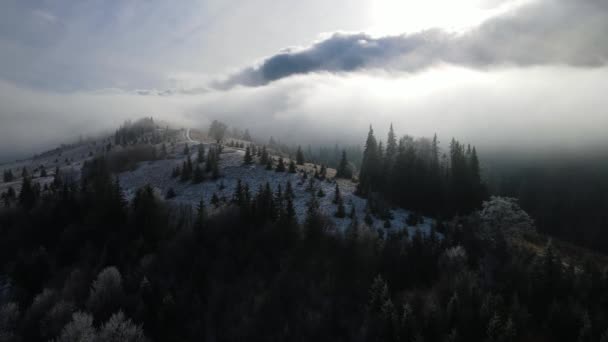 木々の上に霜の冬の森 冬には雪に覆われた木々が凍る森の空中ビュー フィンランドの冬の森を飛ぶ トップビュー — ストック動画