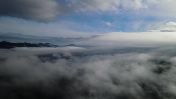Зимовий Ліс Політ Над Хмарами Повітряна Фотографія Відео — стокове відео