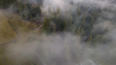 Dağlarda yağışlı hava. Çam ağacı ormanında sisli bir sis esiyor. Sisli bir günde dağ tepelerindeki ladin ormanlarının hava görüntüleri. Güzel sonbahar ormanında sabah sisi.