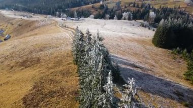 Kış Ormanı Karları Ağaçları Kaplamıştı Alp Dağları Sabah Erken Güneş Doğumu Tatil ve Turizm Ağacı Canlı Renkler Hava 4k Tepesi