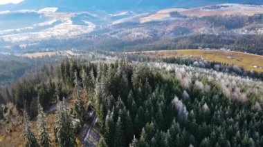 Kış Ormanı Karları Ağaçları Kaplamıştı Alp Dağları Sabah Erken Güneş Doğumu Tatil ve Turizm Ağacı Canlı Renkler Hava 4k Tepesi