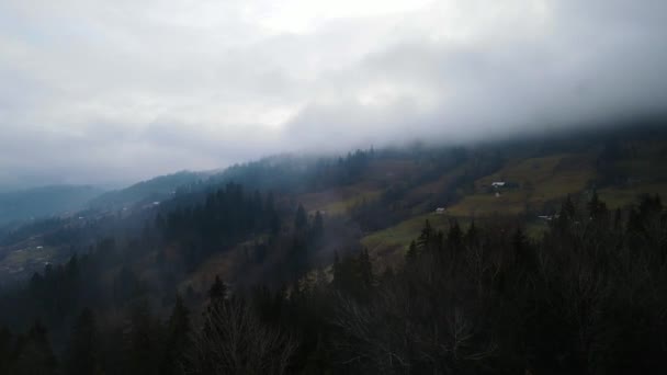 Clima Lluvioso Montañas Niebla Brumosa Que Sopla Sobre Bosque Pinos — Vídeo de stock
