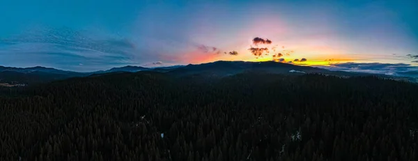 Горы Сосновый Лес Красивый Зимний Пейзаж Высоты — стоковое фото