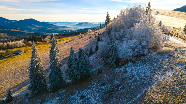 Träd Täckta Med Frost Vackert Landskap — Stockfoto