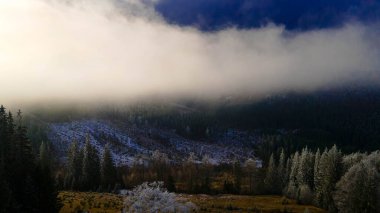 Dağlar çam ormanları Güzel kış manzarası Yükseklerden