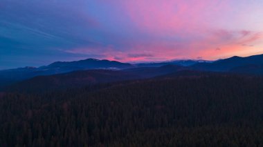 güzel dağ manzarası kozalaklı orman