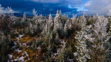 Dağlar çam ormanları Güzel kış manzarası Yükseklerden