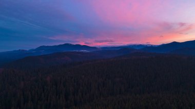 güzel dağ manzarası kozalaklı orman