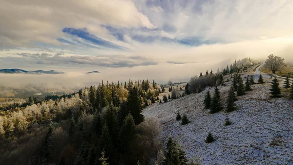 Dağlar Çam Ormanları Güzel Kış Manzarası Yükseklerden — Stok fotoğraf