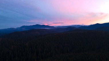 güzel dağ manzarası kozalaklı orman