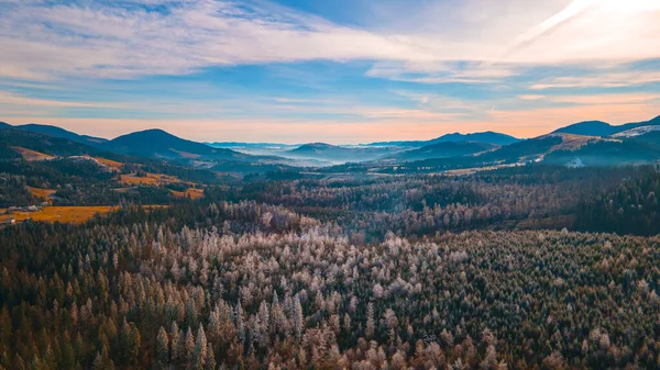 Krásná Horská Krajina Jehličnatý Les — Stock fotografie