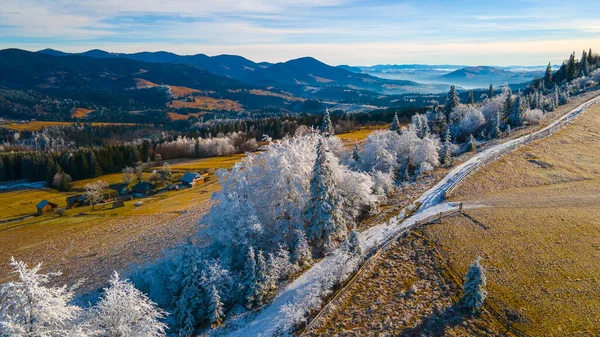 Stromy Pokryté Mrazem Krásná Krajina — Stock fotografie