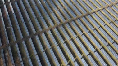 Güneşli bir günde bir tarlada güneş enerjisi santrali. Kuş bakışı. Güneş panelleri enerji üretimi alanında çizgide. Bir dron güneş çiftliğinin üzerinden uçuyor. Yenilenebilir yeşil enerji. Alternatif enerji kaynakları.