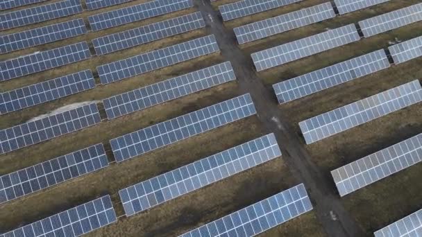 Solkraftverk Felt Solskinnsdag Fugleøye Solcellepaneler Linjen Innenfor Energiproduksjon Drone Flyr – stockvideo