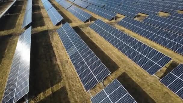 Usina Solar Campo Dia Ensolarado Olho Pássaro Painéis Solares Estão — Vídeo de Stock