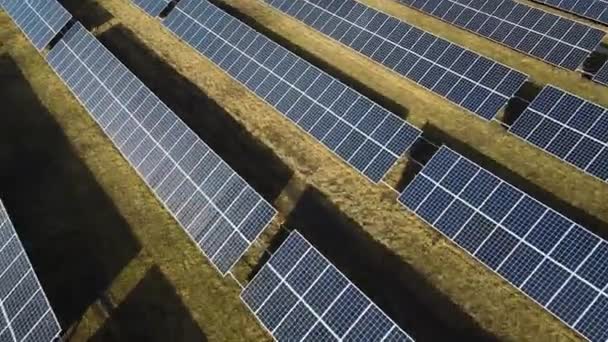 阳光灿烂的日子 太阳能发电厂在田野里 鸟的眼睛 太阳能电池板在能源生产领域处于领先地位 一架无人驾驶飞机飞越了一个太阳能农场 可再生能源 替代能源 — 图库视频影像