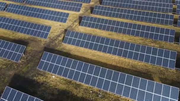 晴れた日に畑にある太陽光発電所 鳥の目 太陽光パネルは エネルギー生産の分野でラインにあります 無人機が太陽光発電所の上を飛ぶ 再生可能エネルギー 代替エネルギー源 — ストック動画