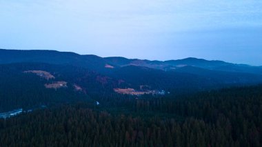 güzel dağ manzarası kozalaklı orman