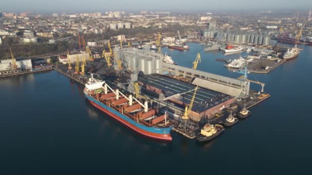 Widok Lotu Ptaka Statek Towarowy Porcie Port Dock Trade Export — Wideo stockowe