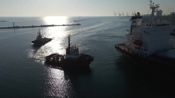 화물선 공중에서 발견되었다 항구에서 화물을 내리는 수단의 수출을 공중에서 바라봄 — 비디오