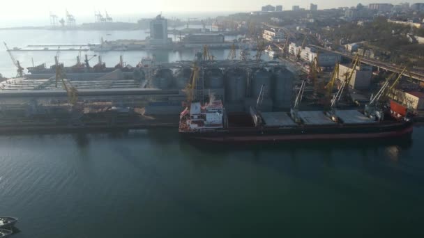 화물선 공중에서 발견되었다 항구에서 화물을 내리는 수단의 수출을 공중에서 바라봄 — 비디오