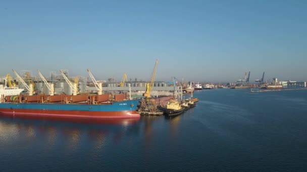 Luchtfoto Van Een Vrachtschip Haven Trade Export Laden Lossen Diepzeehaven — Stockvideo