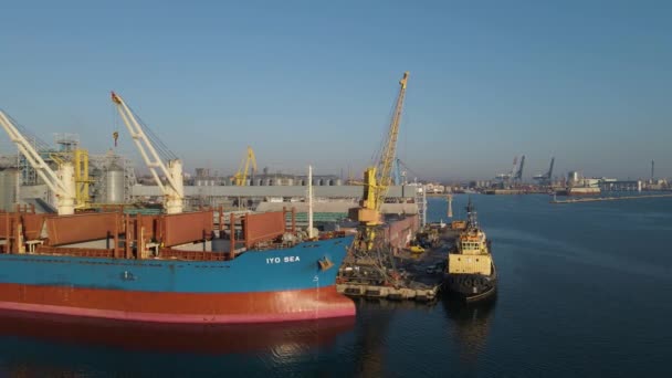 Vista Aérea Navio Carga Doca Portuária Comércio Exportação Carregando Descarregando — Vídeo de Stock