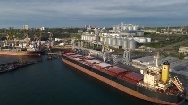 Puerto Industrial Moderno Con Contenedores Vista Superior Pájaro Puerto Para — Vídeo de stock