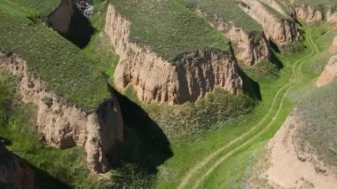 Büyük Kanyon Kanyonu 'nun en üst manzarası Uçan İHA' dan yeşil çimen manzarası