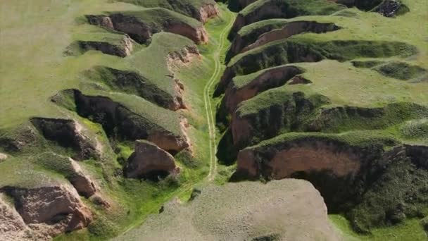 Widok Góry Wielki Kanion Wąwóz Zielony Trawa Lot Przez Drona — Wideo stockowe