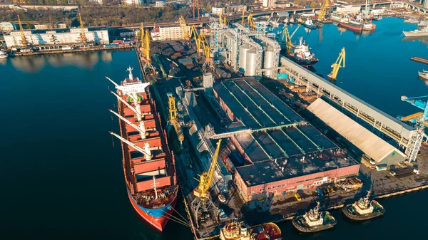 Port Industriel Dans Domaine Logistique Transport Affaires Mondial Import Export — Photo