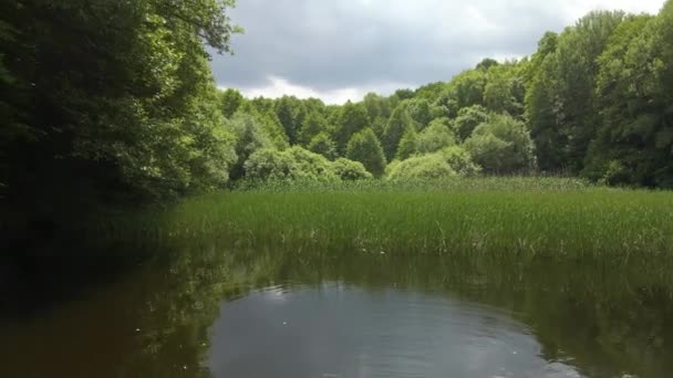 Lago Voo Drone Floresta — Vídeo de Stock