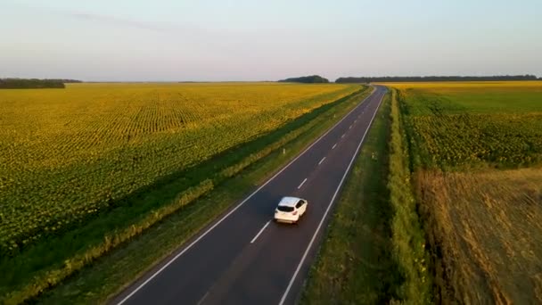 郊外の高速道路 高速道路 通過車 4Kビデオを記録するドローンビデオ — ストック動画